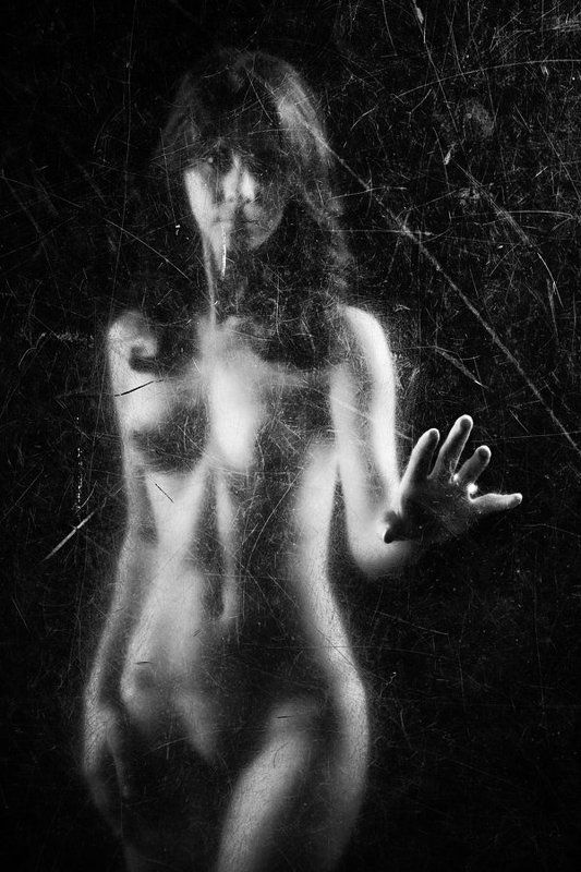 ..а где то в реке плавал сом. фото превью