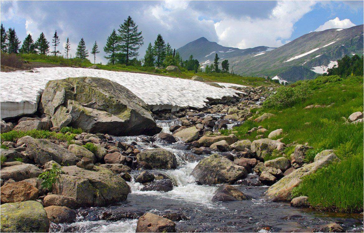 поднебесные, зубья, Александр Устинович
