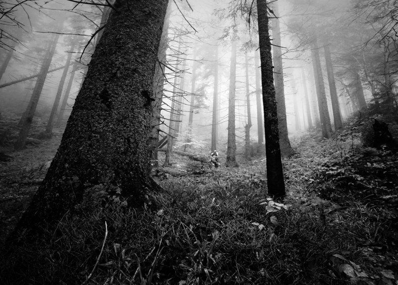 природа, пейзаж, лес, нанорама, туман, люди, карпаты дремучесть фото превью