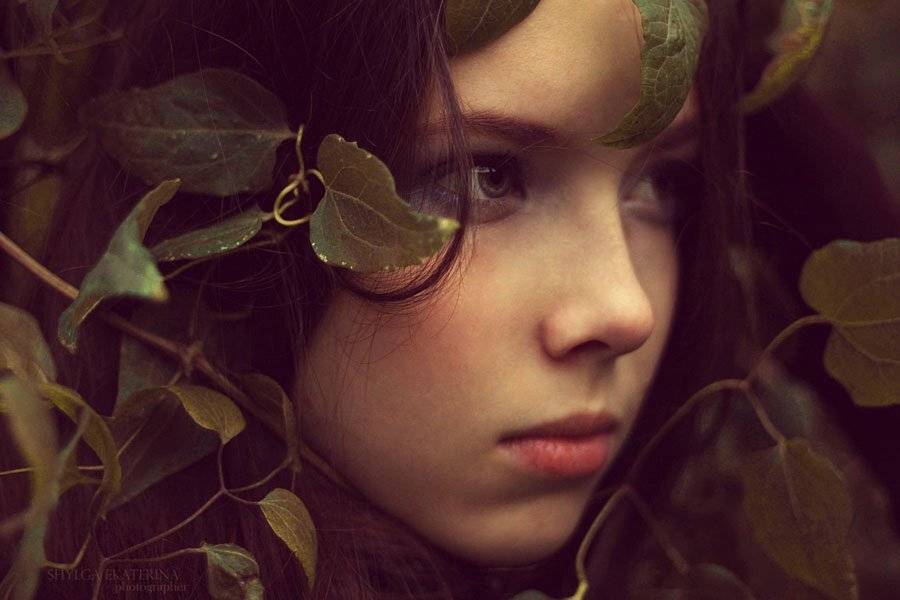 , Шульга Екатерина