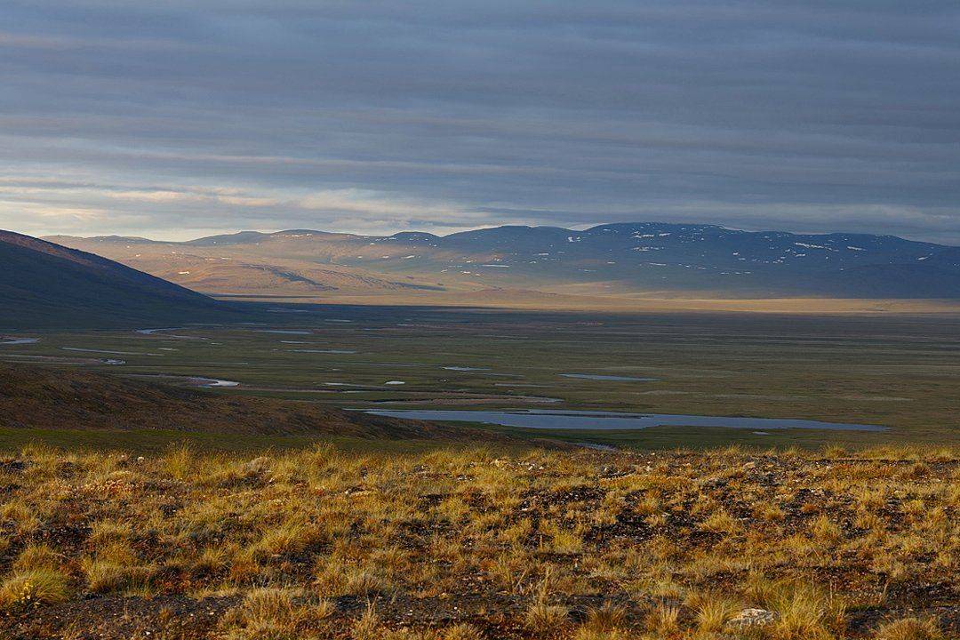 россия чукотка, лето, сопки, небо, облака, тундра, свет, пейзаж, природа,, Сергей Шульга