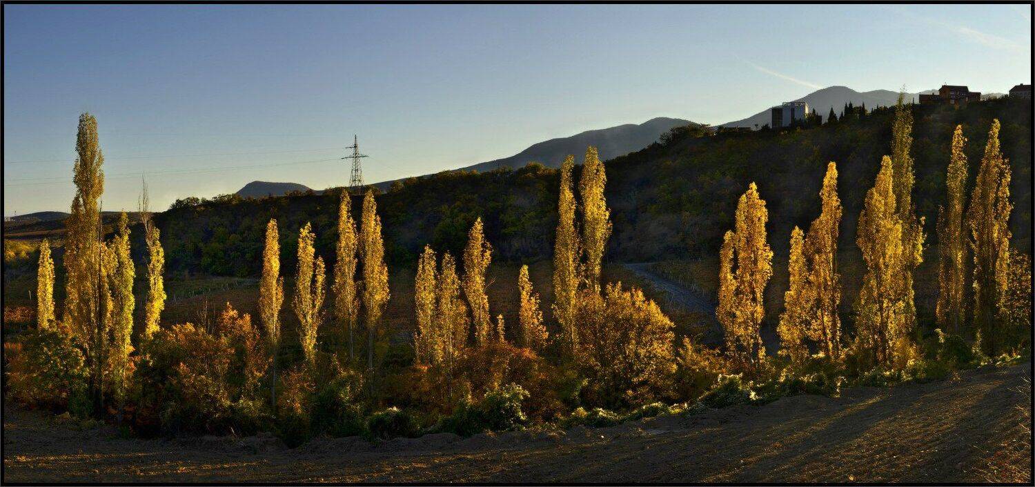 , Владимир Метцгер