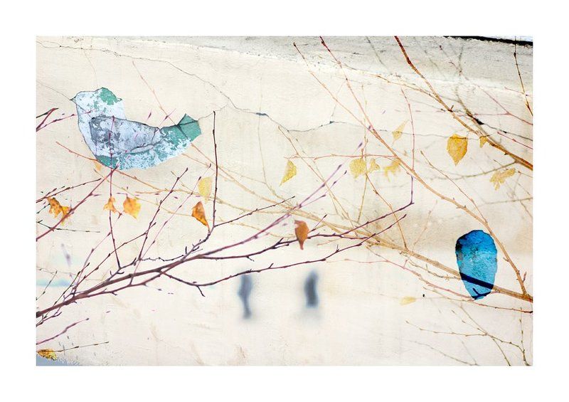 ... фото превью