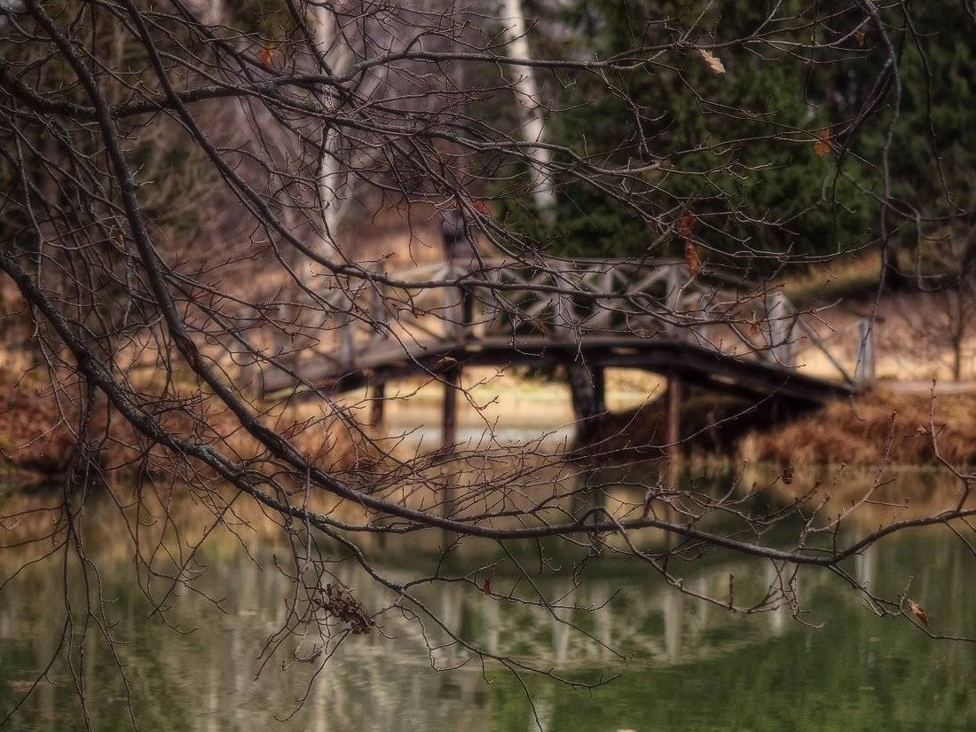 , Владимир Перепечаев