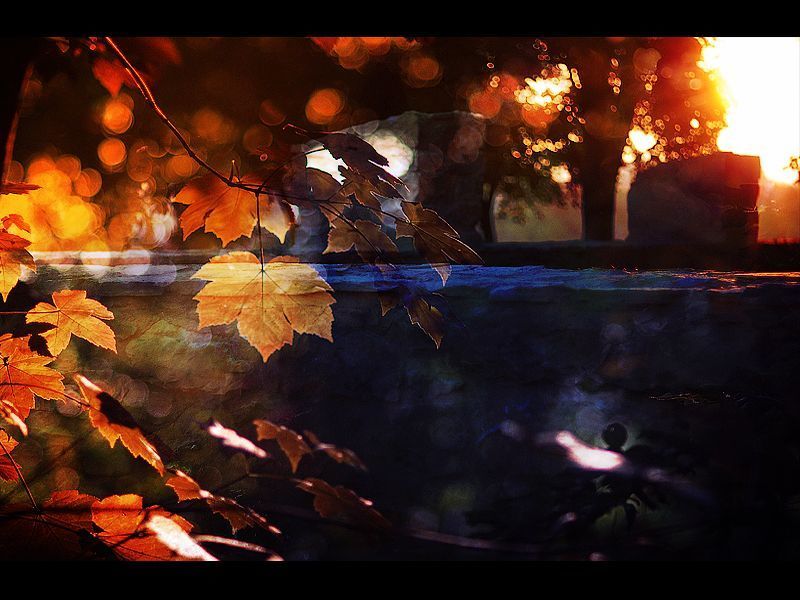 autumn, light autumn dreams фото превью