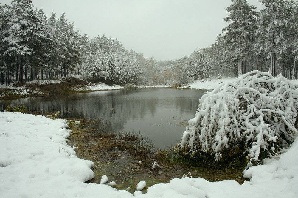 , Николай Морский