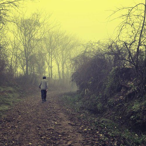 Alone II