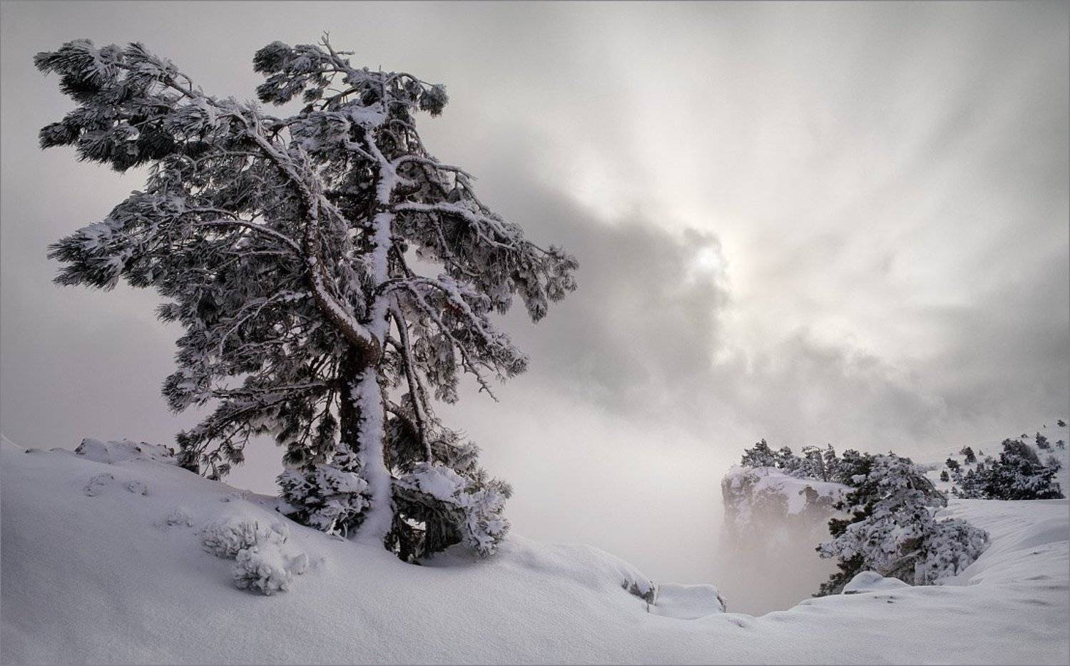 , Алексей Пучков