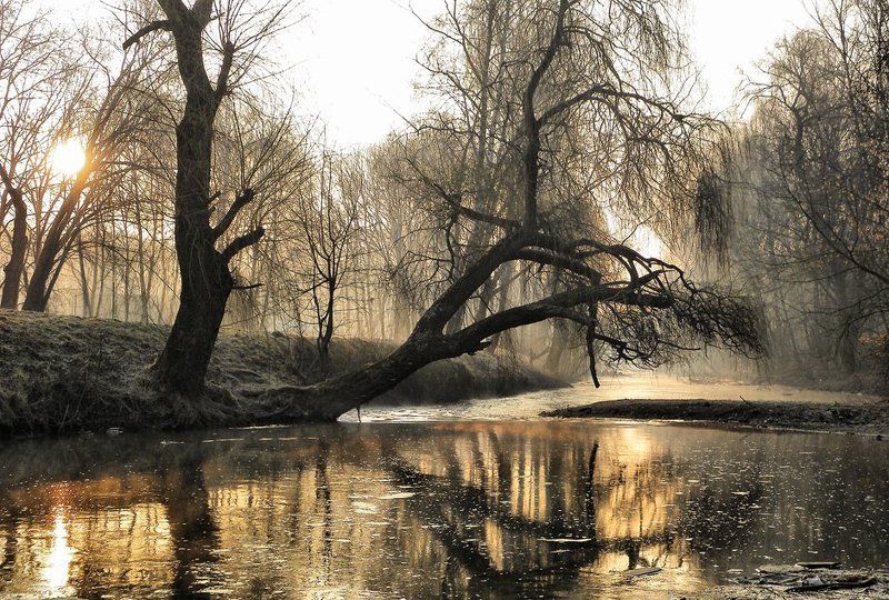 Утренняя сказка фото превью