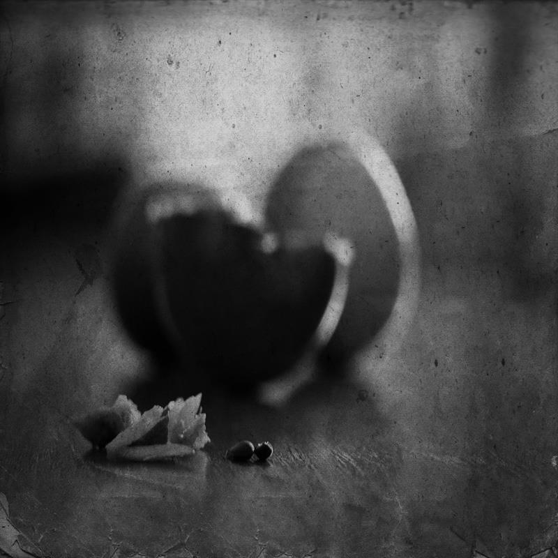 когда.... фото превью