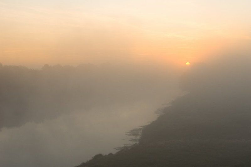 солнце, утро, река, туман, восход, паутина, долина, пейзаж,  украина,  десна, пироговка Солнечная история фото превью