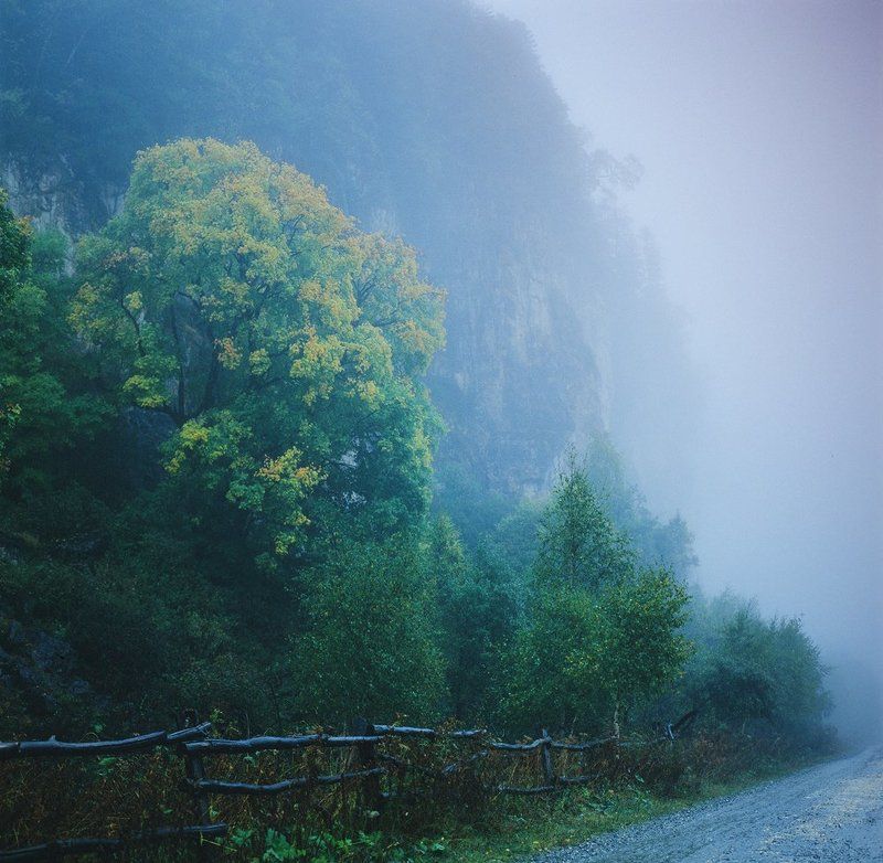 близ, плата, лаго, наки, №3  фото превью