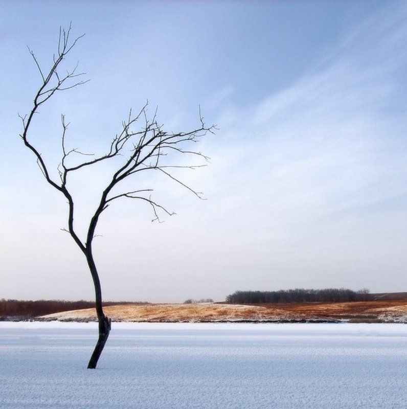 Танец-приват фото превью