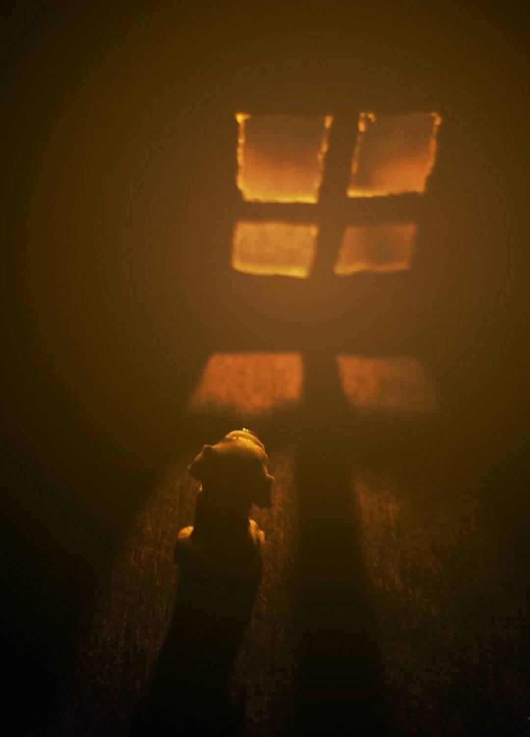 , Семёнова Юлия