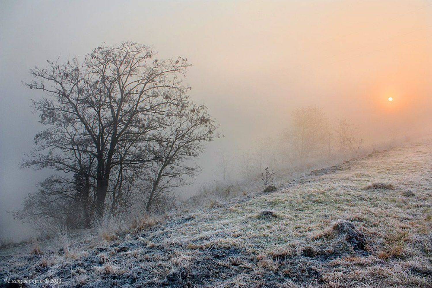 , Wolodymer Mjaskowskuj