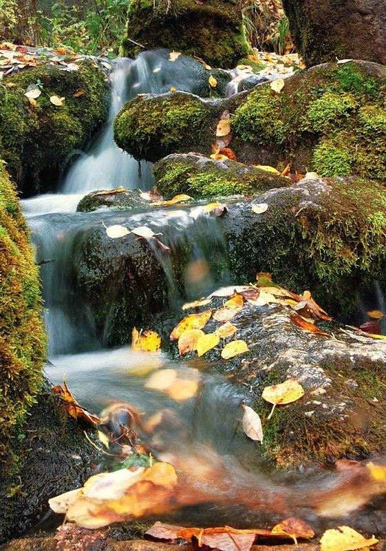 урал, denlog Пьяный ручей фото превью
