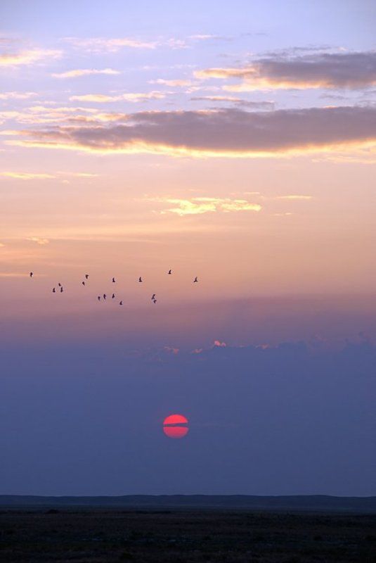 ~~~ фото превью