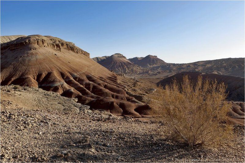 алтын-эмель, крем-брюле, горы актау Алтын-Эмель, октябрь 2011 г. четыре фото превью
