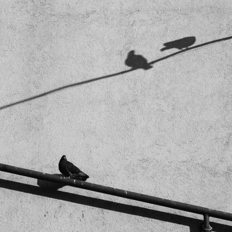 2:1 фото превью