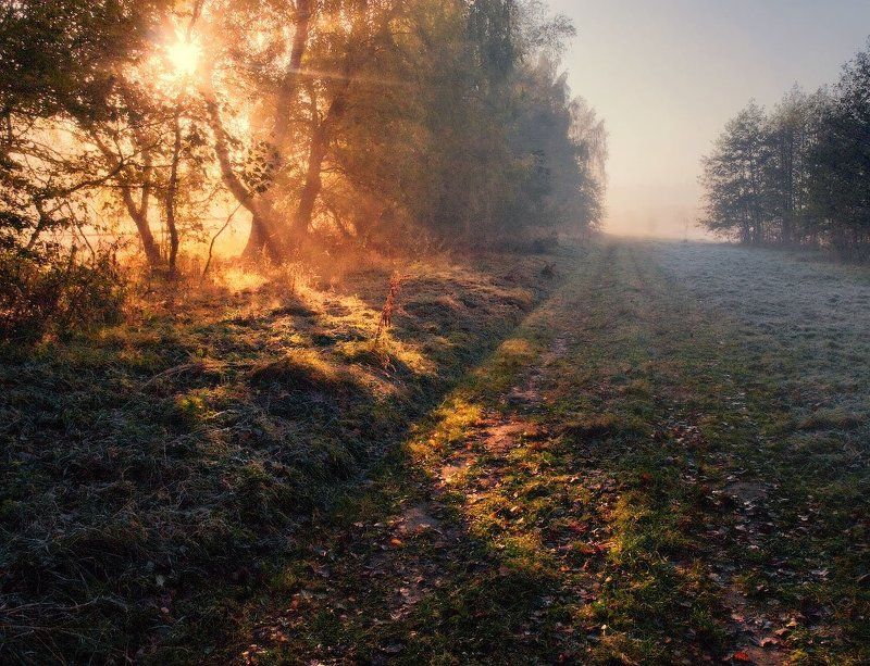 Утро нового дня фото превью