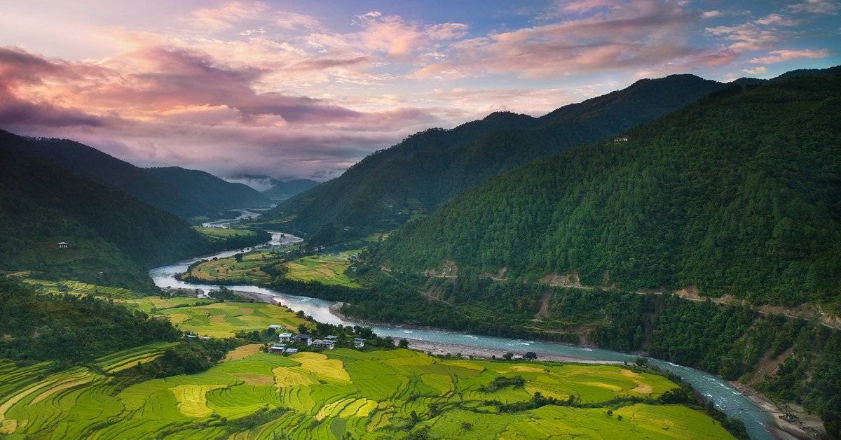 бутан, рисовые поля, пейзаж, Centurion