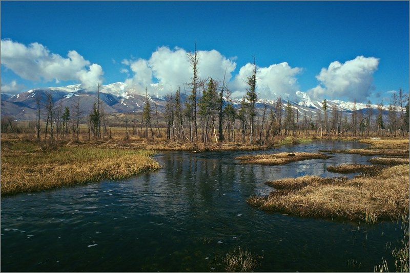 Немного весны фото превью