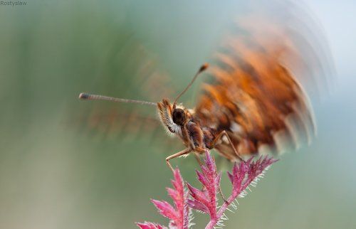 I wanna fly