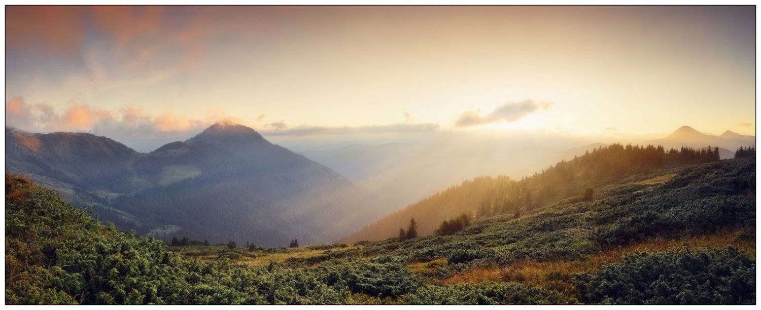 , Денис Кривой