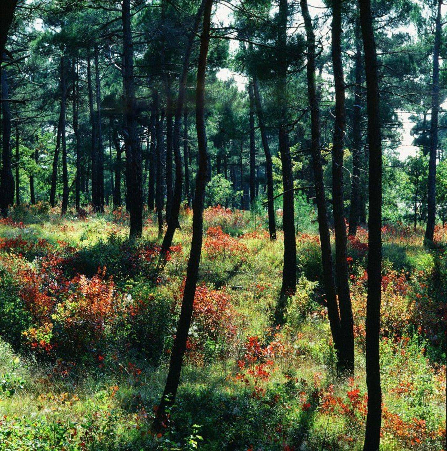 , Эдуард Перов