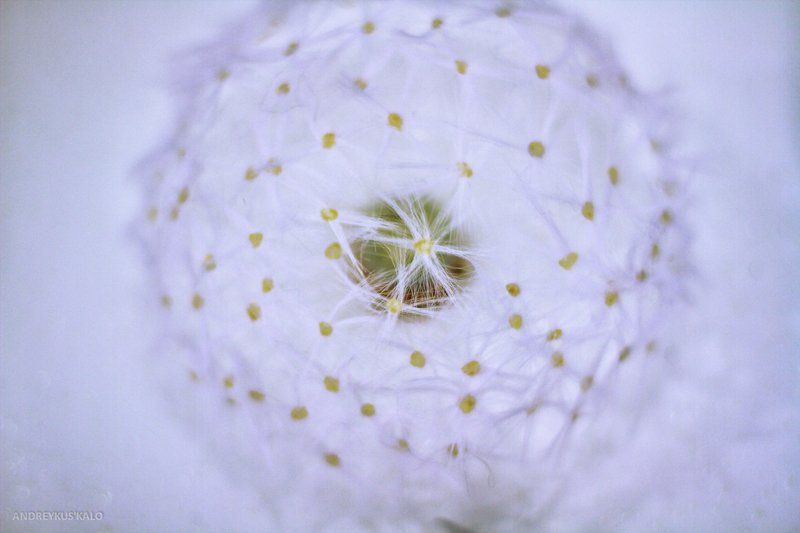 Когда краски не причем фото превью