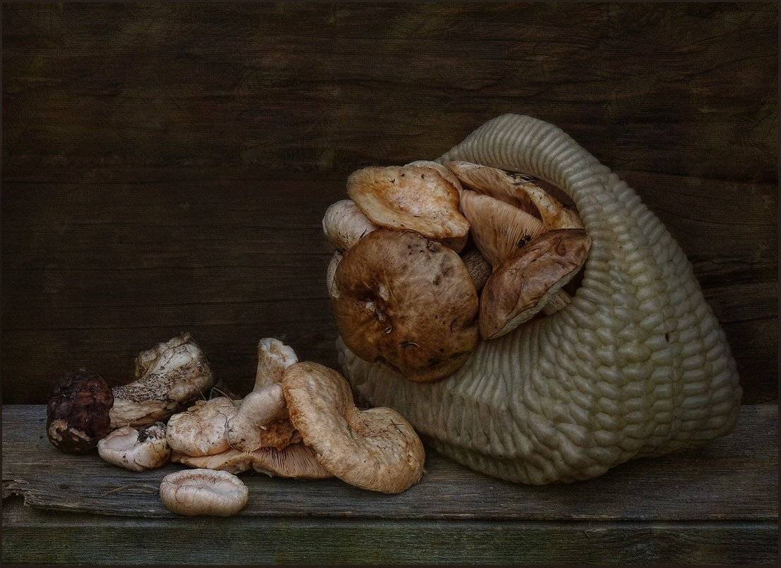 , Ольга Хлуднева