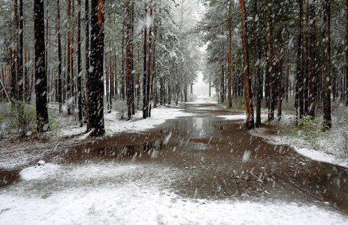 Это было в мае