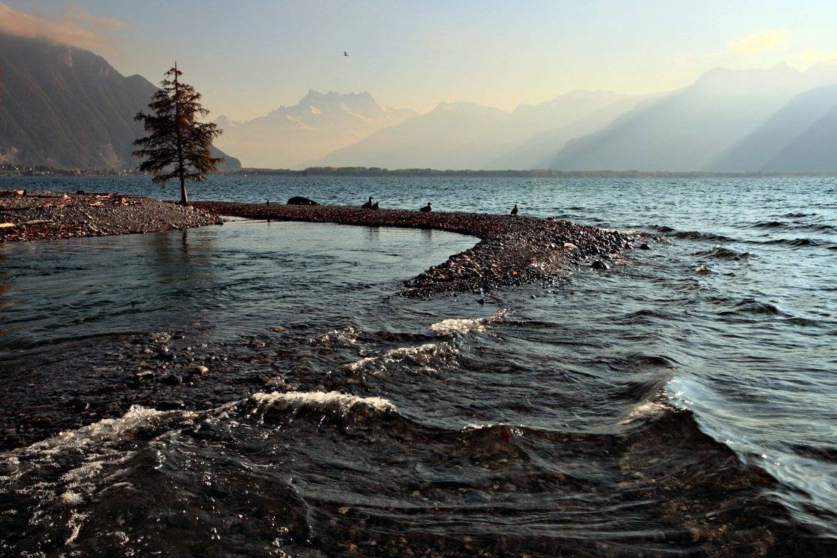swiss, Матвеев Николай