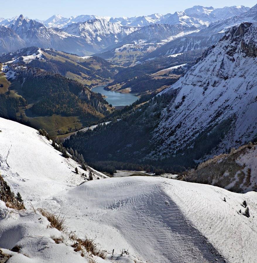 swiss, Матвеев Николай