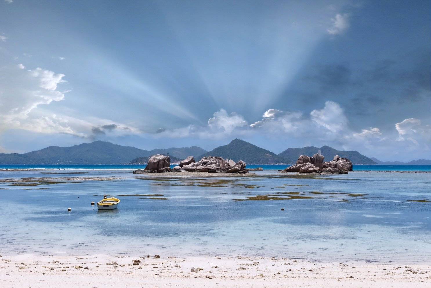 , Людмила Прокофьева