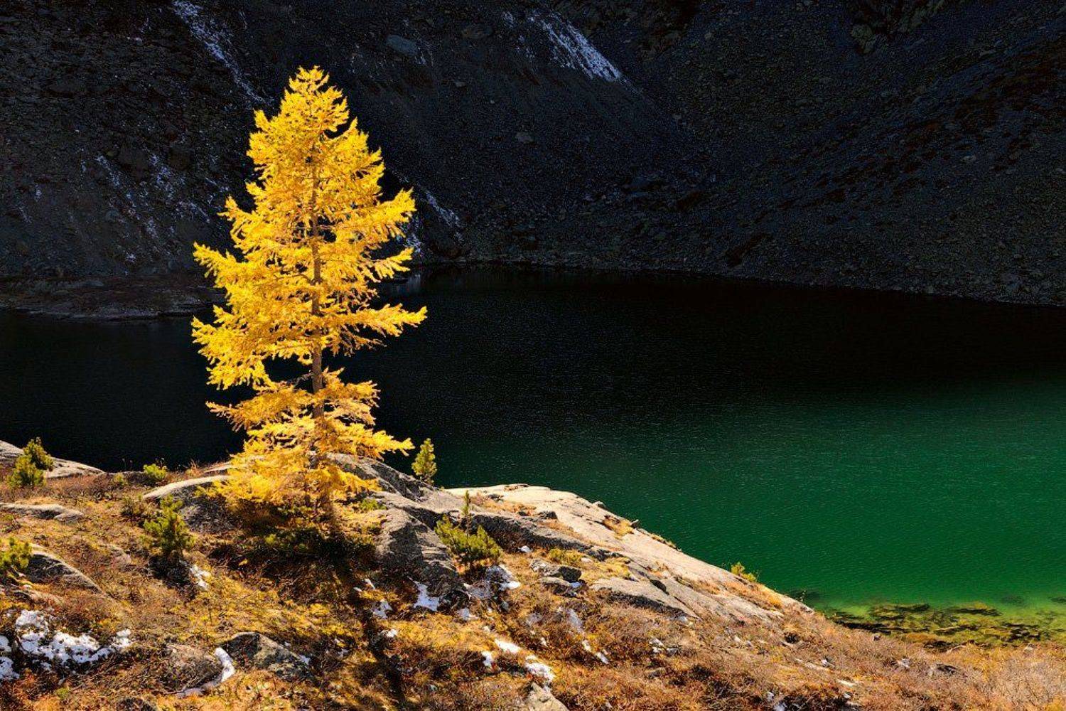 россия,  горный алтай, усть-коксинский район, катунский хребет, озеро куйгук, куйгук, Kaiser Sozo