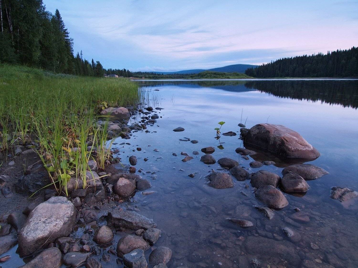, Максим Евдокимов