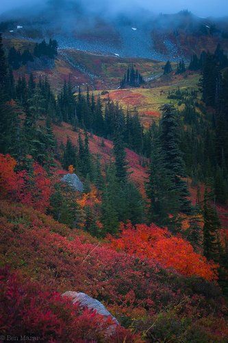 Fall Colors Festival