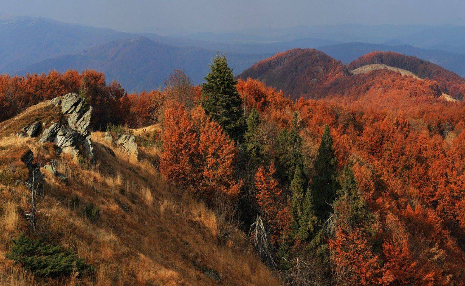 карпаты., осень., Юрий Cазин