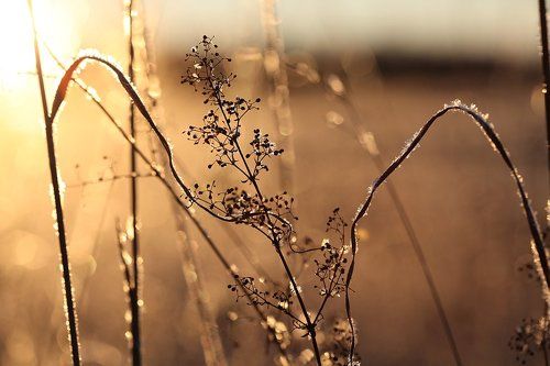 Утренние молитвы