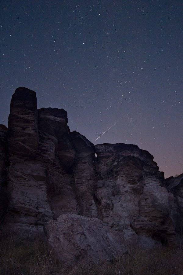 каменные, грибы, Дитковский Евгений