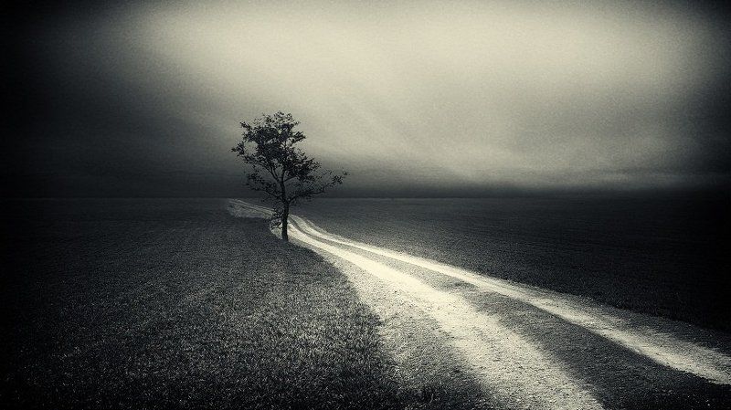 Тишь полей... фото превью