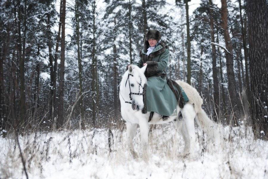свадьба, лошадь, снежок., Губанов Алексей