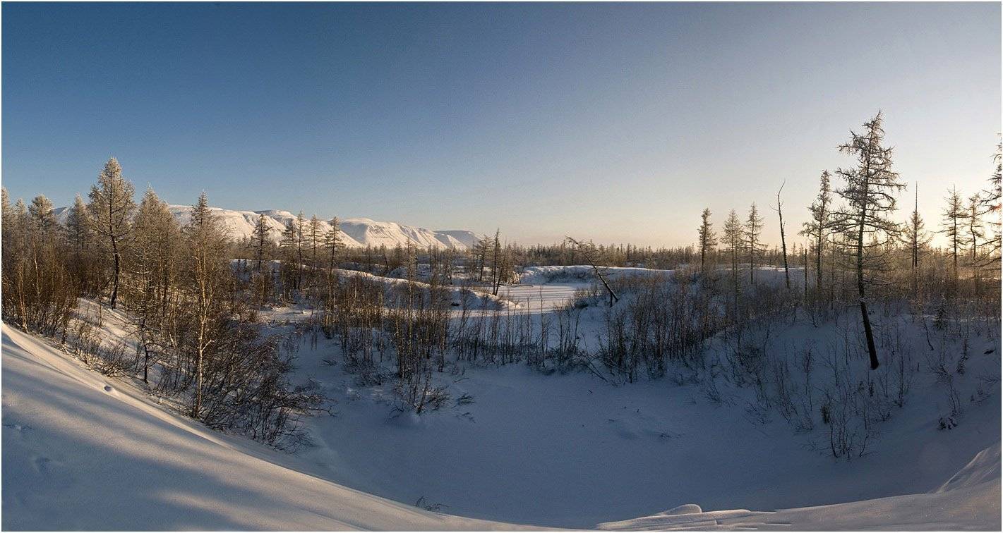 таймыр, Vladimir