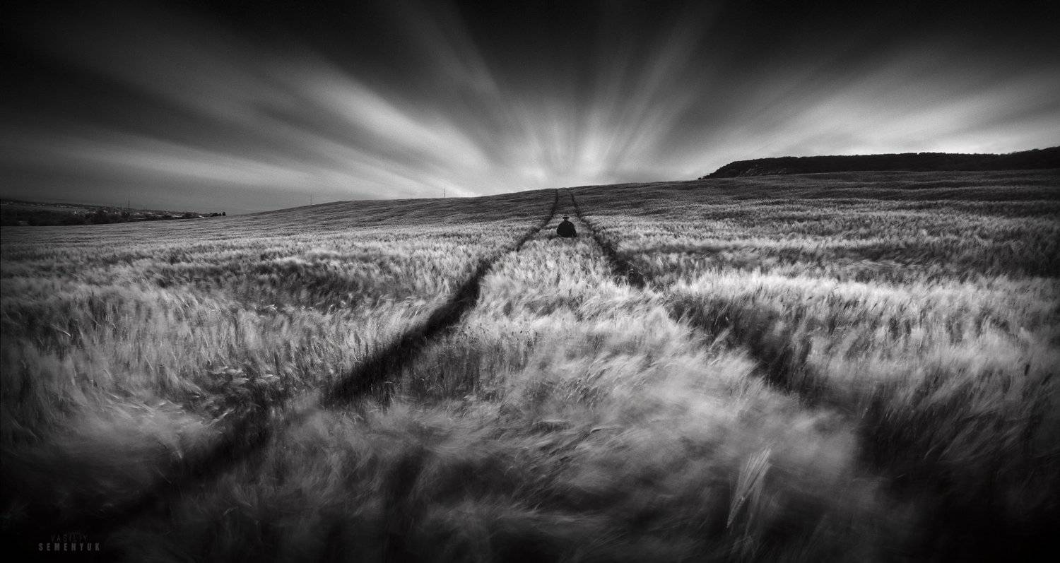 поле, человек, ветер, пшеница, крым, длинная выдержка, ветер, mood, man, wind blow, field, black and white., Семенюк Василий