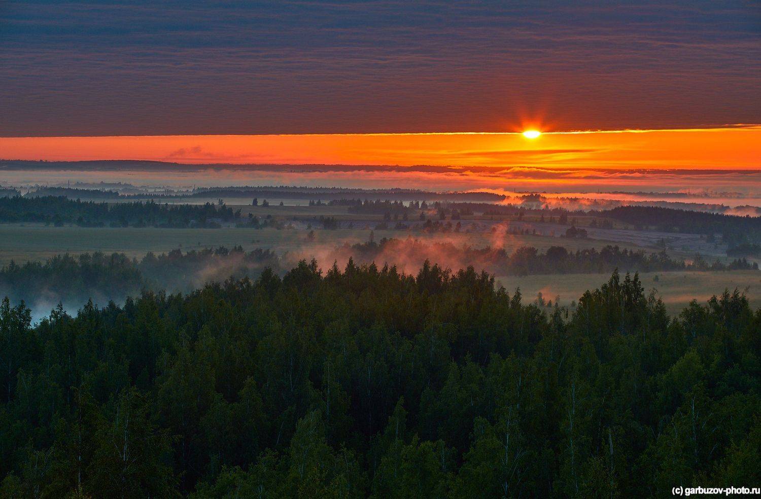 , Гарбузов Илья
