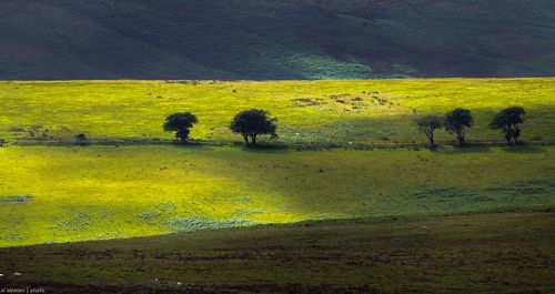 Эксмурский зной