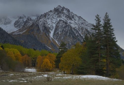 Осень