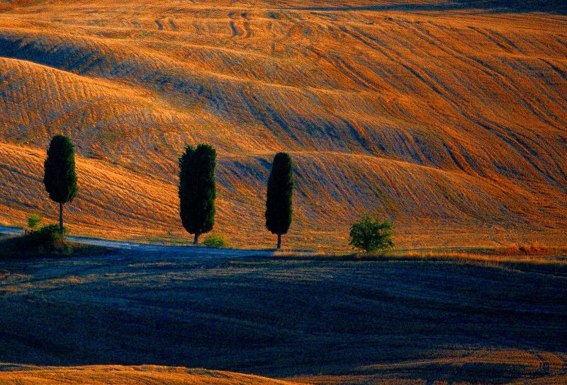 Tuscany фото превью