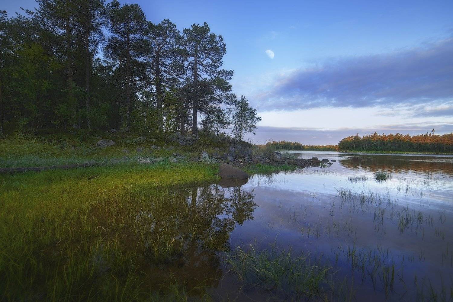 #dervod #drevo #Соловки, Демид Волков